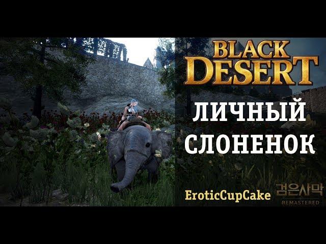 Как получить ездового слоненка? Black Desert