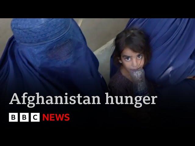 Inside Afghanistan: millions of children suffering extreme malnutrition  | BBC News