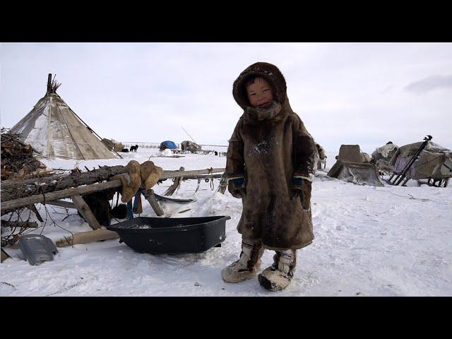 Children of TUNDRA. Winter Everyday life of nomads. North of Russia. Nenets