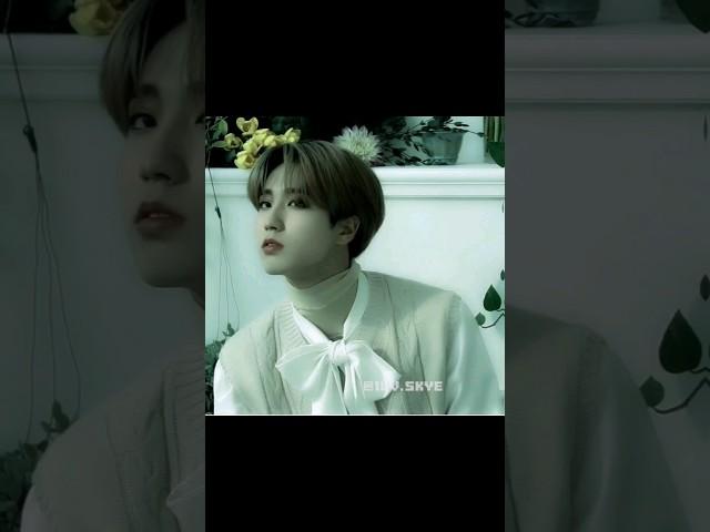 #kpop #genshin #genshinimpact #han #xiao #venti #hanedit #hanjisungedit #hanjisung #skzxgenshin #skz