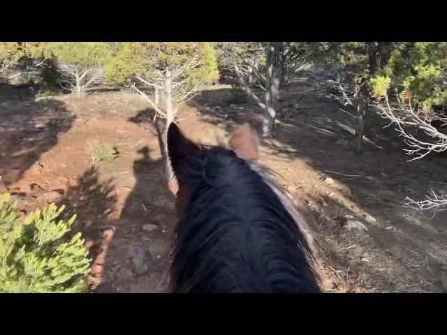 The Cedar Trail Ride at Rising K Ranch- Took some First-Time Horseback Riders for a Great Ride!