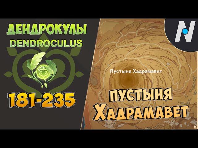 ВСЕ ДЕНДРОКУЛЫ - Часть 3. ЛУЧШИЙ МАРШРУТ СБОРА | GENSHIN IMPACT