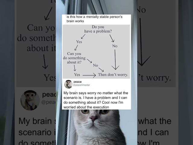 My brain says worry no matter what