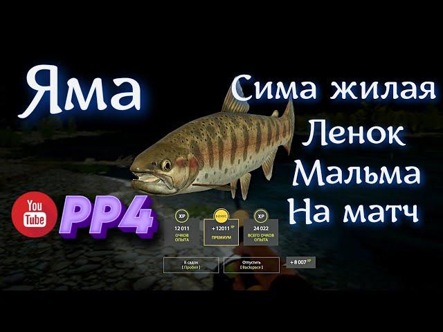 Яма • Сима жилая и Мальма + другая рыба • РР4 • Русская рыбалка 4 • 09.04.2024