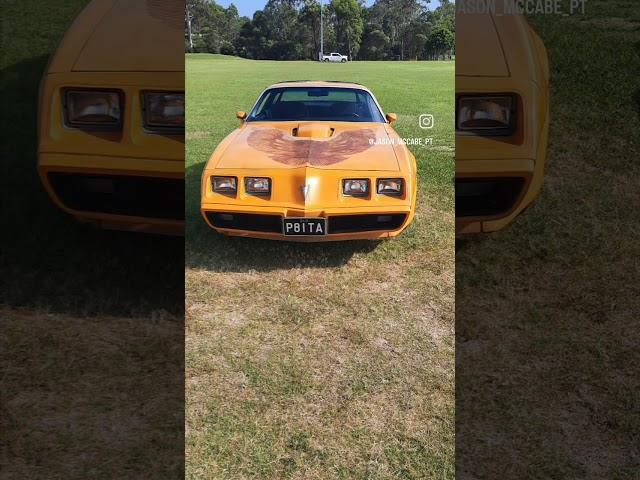 Pontiac Trans-am Firebird V8                                      #automobile #gmh #pontiac #v8