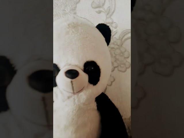 panda sila