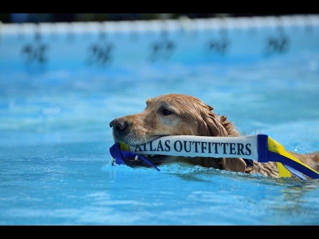 Courteous Canine - Distance Splash 20'2", Master Division