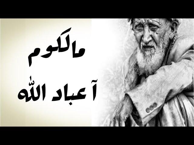 kabir himmi // مالكوم آعباد الله