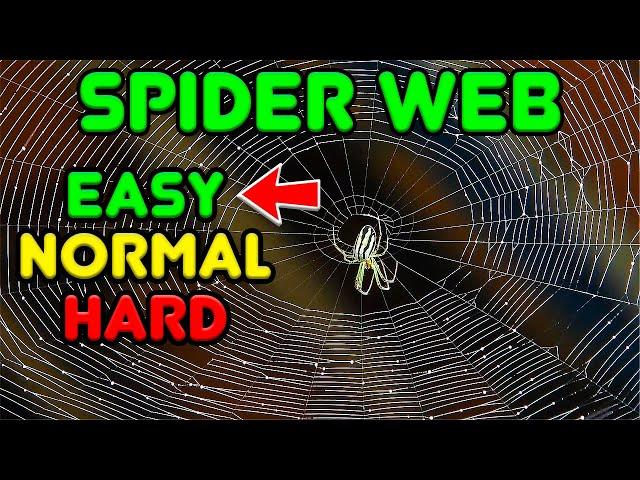 How do Spiders Weave Webs? Different difficulty levels