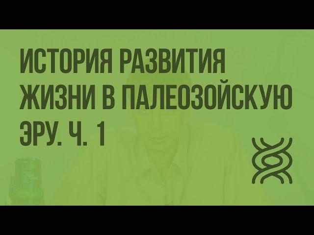 История развития жизни в палеозойскую эру. Ч. 1. Видеоурок по биологии 11 класс