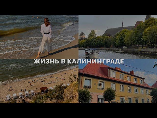 Жизнь в Калининграде // какие плюсы и минусы я выделила, что узнала о городе