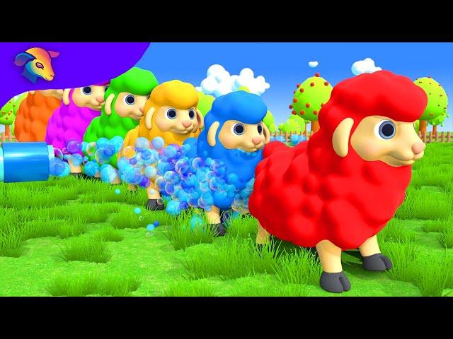 Learn colors with Baa Baa Black Sheep | BluLoo Nursery Rhymes & Kids Songs