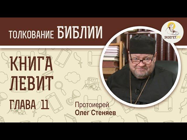 Книга Левит. Глава 11. Протоиерей Олег Стеняев. Библия. Ветхий Завет