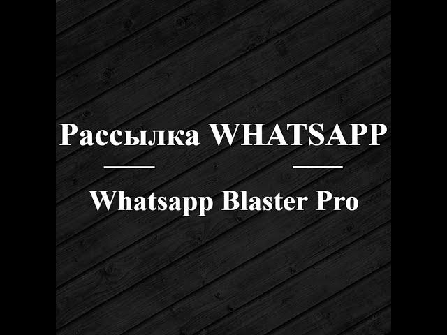 Обзор софта для рассылок Whatsapp Blaster Pro