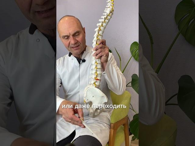 Болит таз или позвоночник?  #медицина #доктор #диагностика #рецепты #лечение_боли #спорт #боль