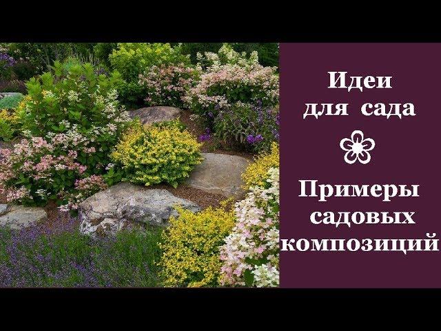  Идеи для сада. Примеры садовых композиций | Ideas for the garden. Examples of garden compositions