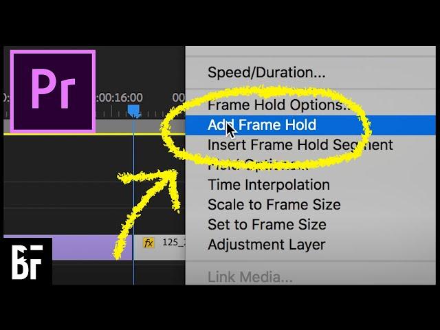 Create a Freeze Frame (Frame Hold) in Premiere - Tutorial