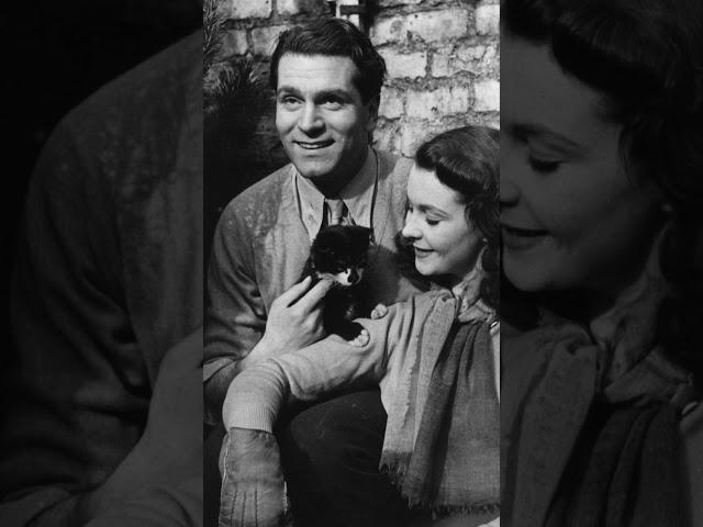 Вивьен Ли _ Лоуренс Оливье  #love #vivienleigh #shorts