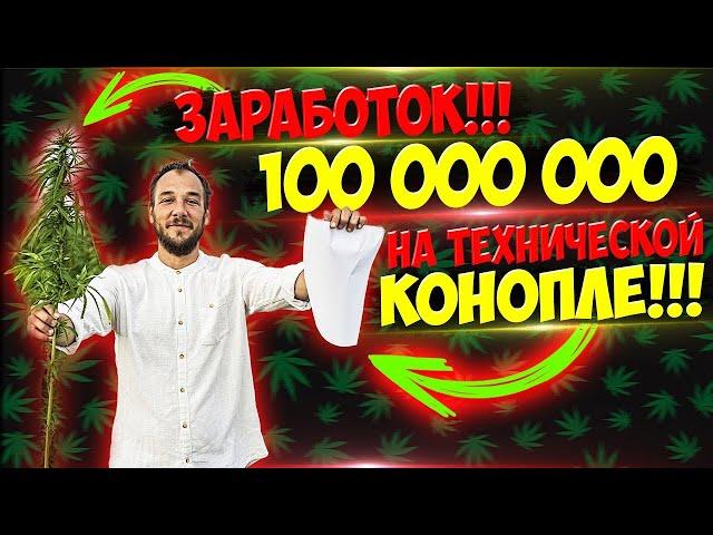 Миллионы на техно конопле!!! Как зарабатывать легально на выращивание технической конопли !