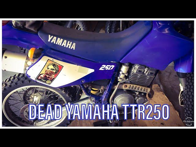 Cheap Yamaha TTR250 Dead On Arrival - Let's Get It Running!