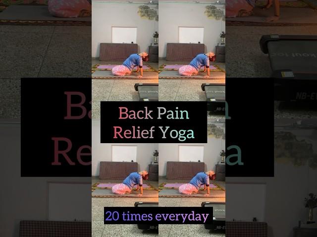 Back Pain Relief Yoga #backpainrelief #myyogalife #myyogajourney #yoga