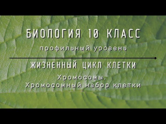 Биология 10 кл Проф уровень $27 Хромосомы. Хромосомный набор клетки