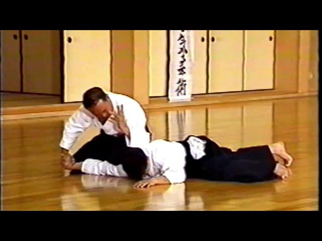 Daito-ryu Aikibudo - Embutaikai in Honshu #2