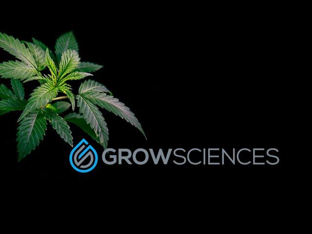 Discover Elite Craft Cannabis & Rosin Cartridges by Grow Sciences in Arizona's Recreational Era
