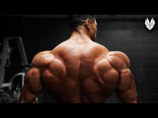 ARNOLD BACK  ANDREI DEIU FITNESS MOTIVATION 2023