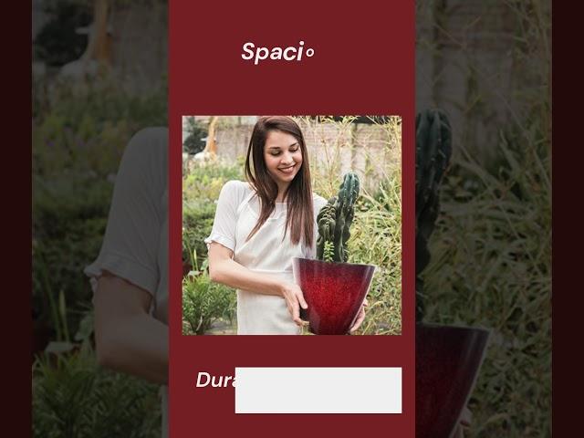 𝐒𝐚𝐯𝐚𝐧𝐧𝐚𝐡 𝐏𝐥𝐚𝐧𝐭 𝐏𝐨𝐭 Cherry Red #sgtraders #plasticplanters #garden #gardening #plants #loveyourspace