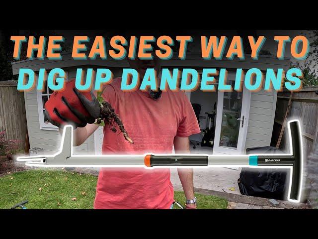 Gardena weed puller - the easiest way to dig up dandelions!