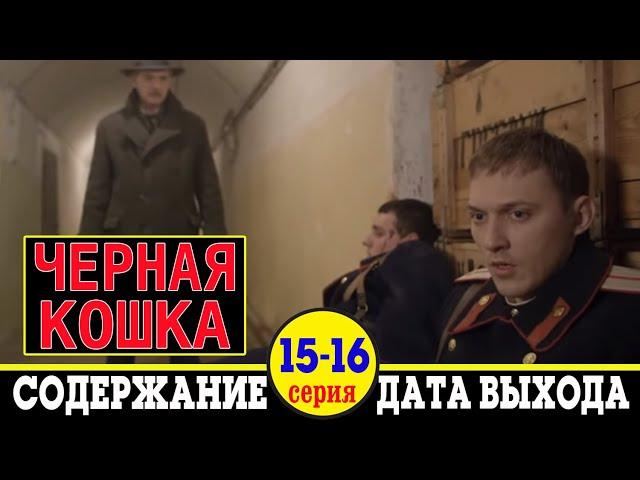 Сериал Черная кошка 15 и 16 серия: дата выхода и содержание