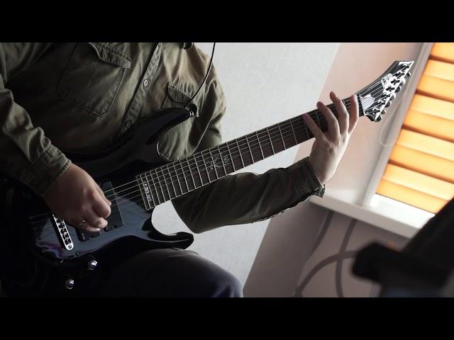 Skinlab - New Flesh (instrumental playthrough)