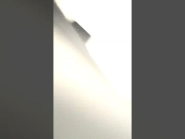 #funny #spider 