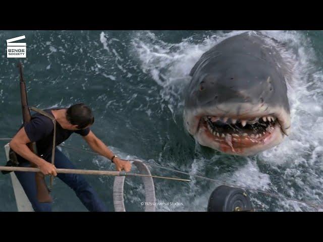 Jaws: Brody kills the shark