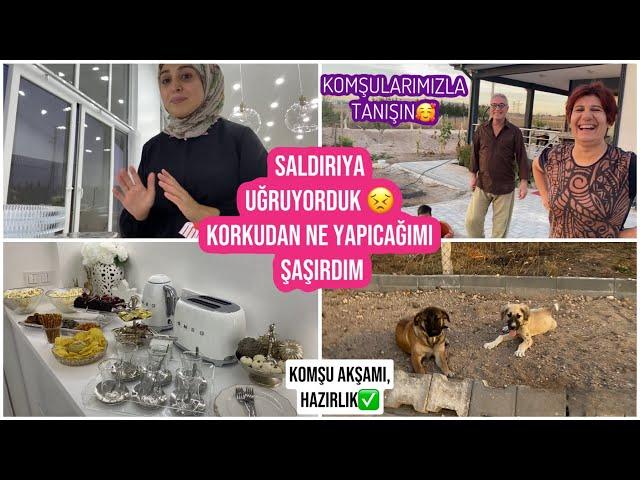 SALDIRIYA UĞRUYORDUK  KORKUDAN NE YAPACAĞIMI ŞAŞIRDIM, KOMŞULARIMIZLA TANIŞIN, KÖPEK TUVALET EĞİTİM