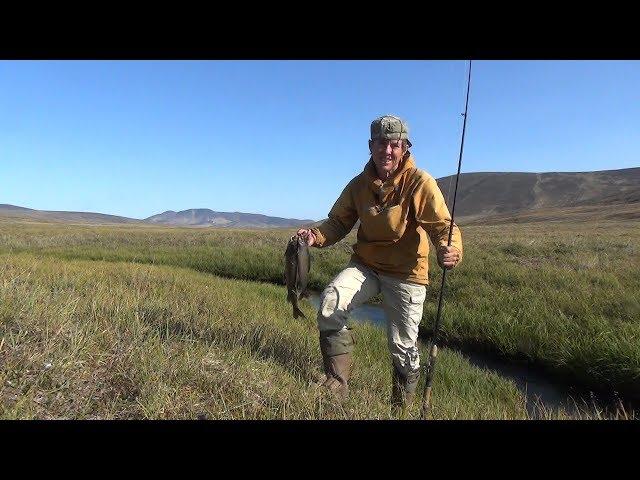 Одна через Чукотку.  Часть 10. Тундра без прикрас. Alone through Chukotka.10.Tundra with...