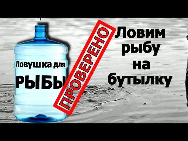 Ловушка  для рыбы из бутылки. Как сделать.