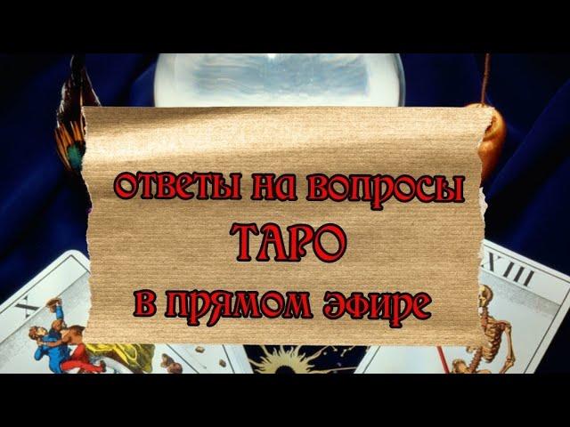 taroVefire в прямом эфире!