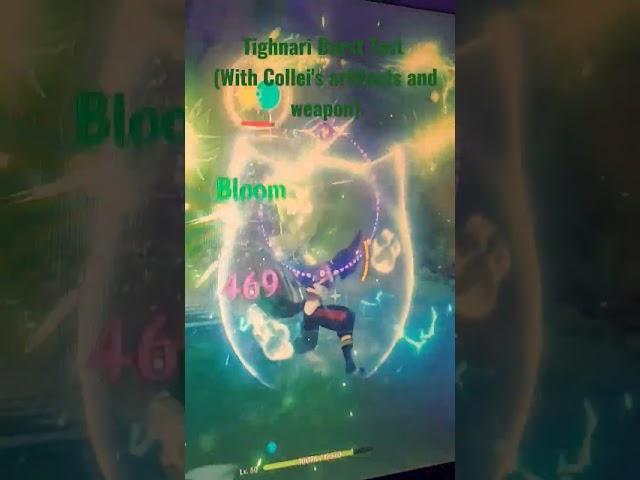Tighnari Burst Test with Collei's Artifacts and Weapon (cause I don't have a good build for him lol)