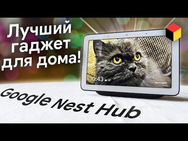 Самый умный дисплей в мире: Google Nest Hub