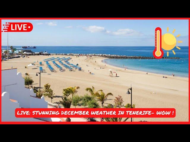 LIVE: OMG  it is STUNNING in Tenerife right now! Los Cristianos Beach walk to Las Americas 