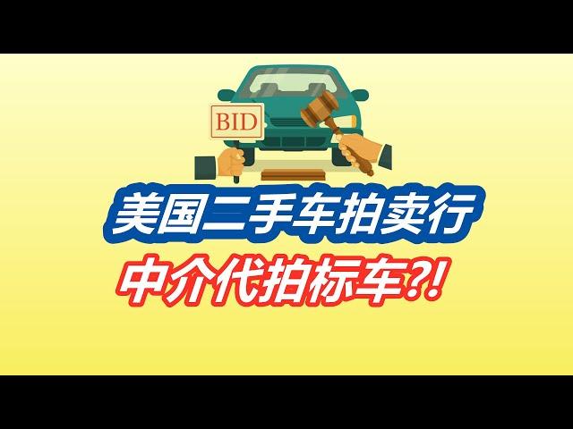 美国拍卖行买二手车分析——中介代理/经销商/拍卖标车/汽车消费/二手车/购车买车 used car dealership auction