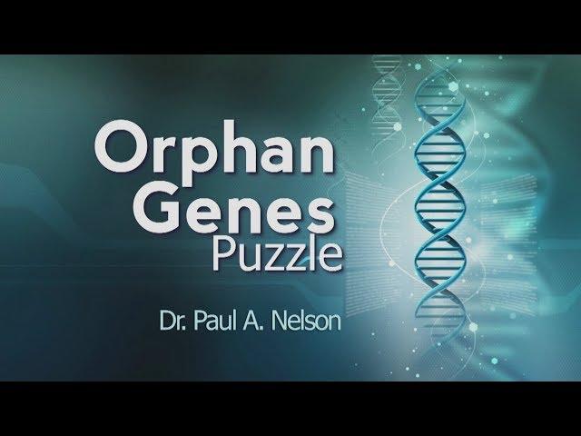 Origins: Orphan Genes Puzzle