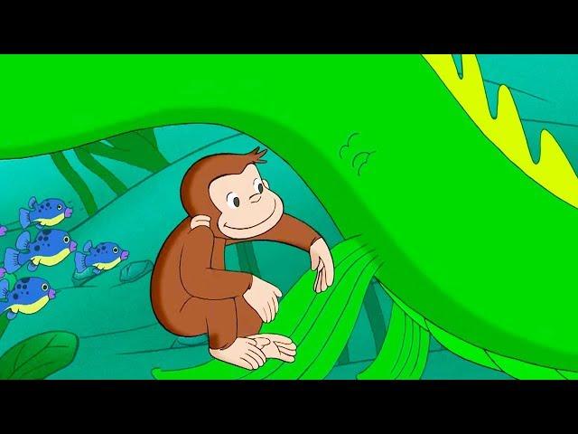 Curious George The Amazing Maze Race Kids Cartoon Kids Movies Videos for Kids