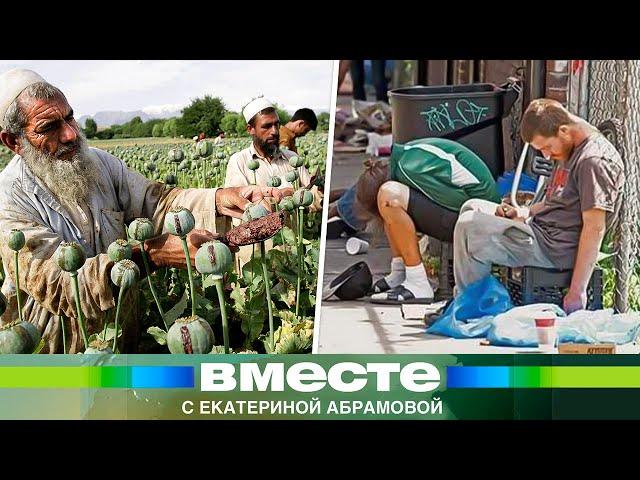Талибы запретили выращивать опийный мак. Европу ждут катастрофические последствия