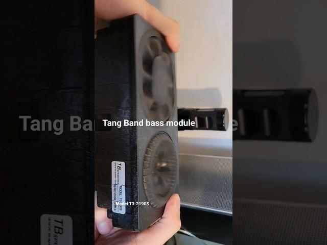 Tang band woofer