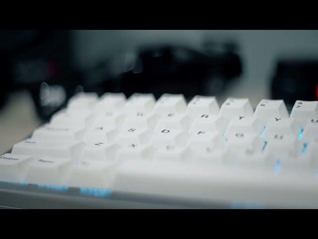 Shark67| A budget friendly aluminium keebs?