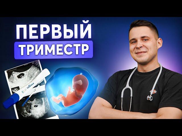 1-12 неделя беременности: Что необходимо знать о первом триместре?