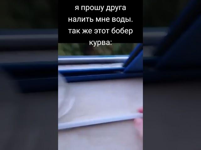 #мем #друг